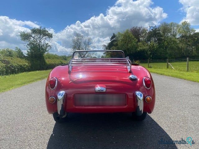1959' Austin-Healey Sprite photo #6