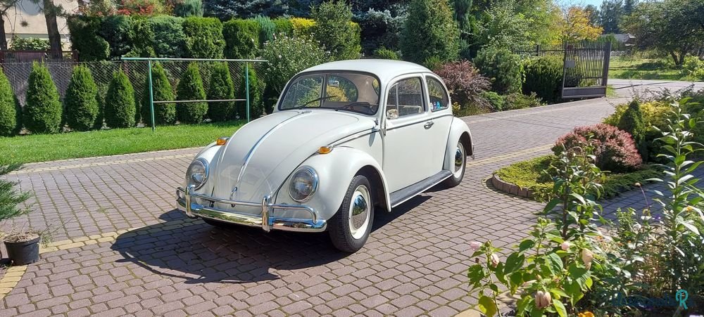 1966' Volkswagen Garbus photo #1