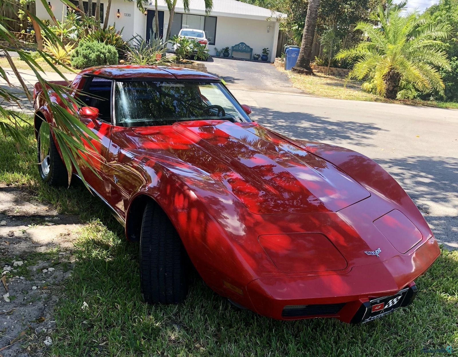 1979' Chevrolet Corvette photo #2