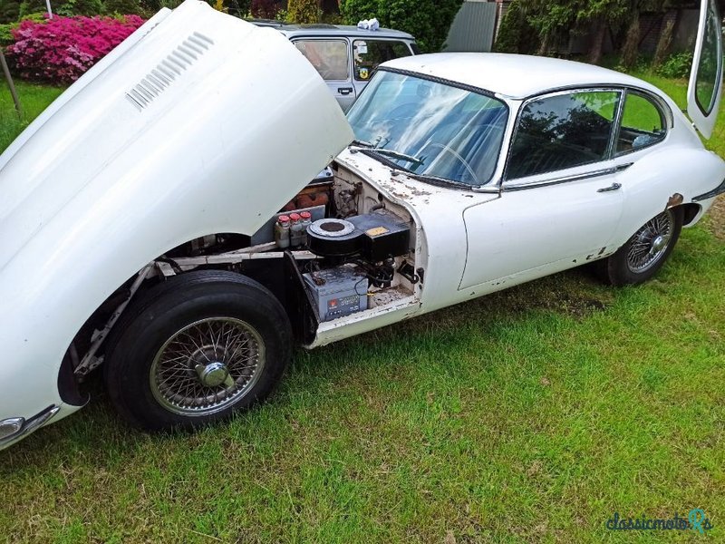 1967' Jaguar E-Type photo #3