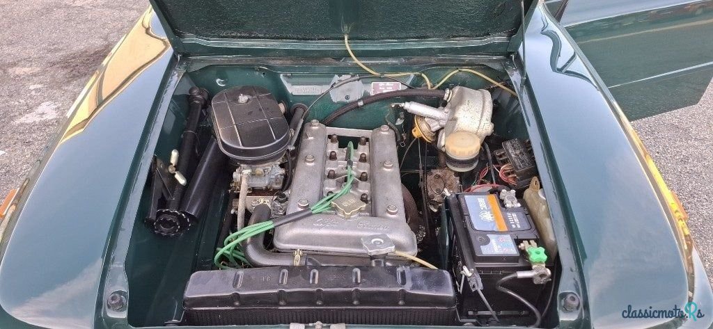 1964' Alfa Romeo Giulia photo #6