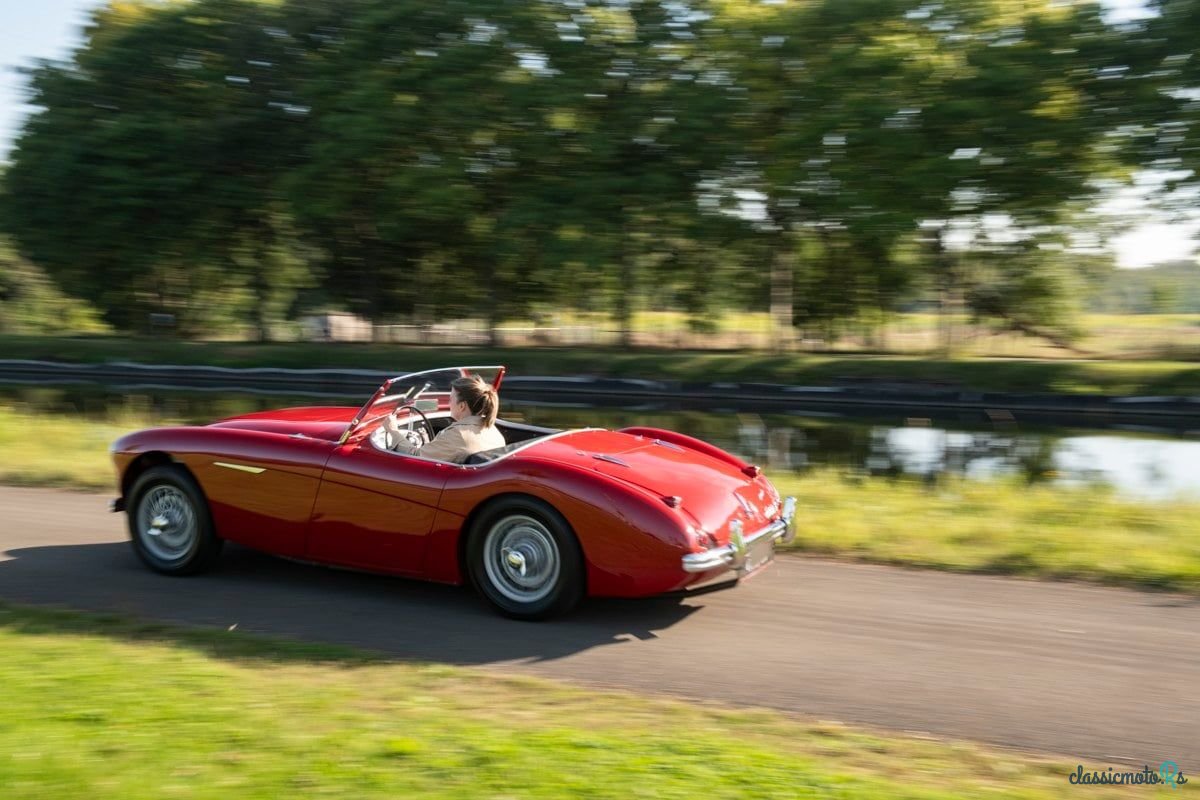 1955' Austin-Healey 100/4 photo #5