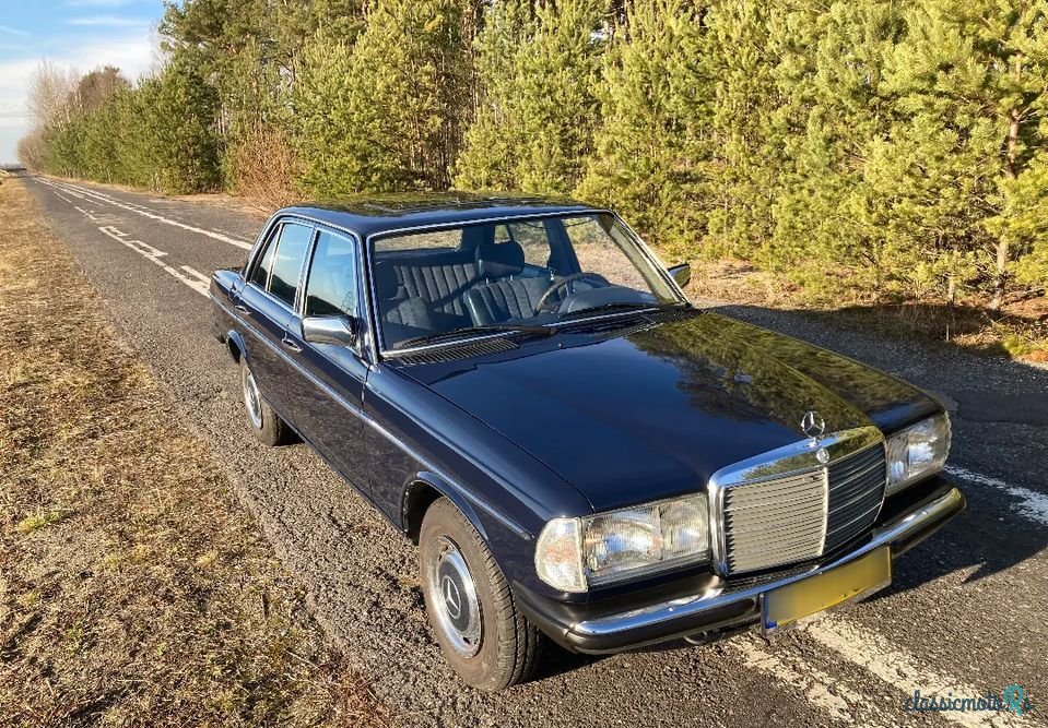 1979' Mercedes-Benz W123 photo #2