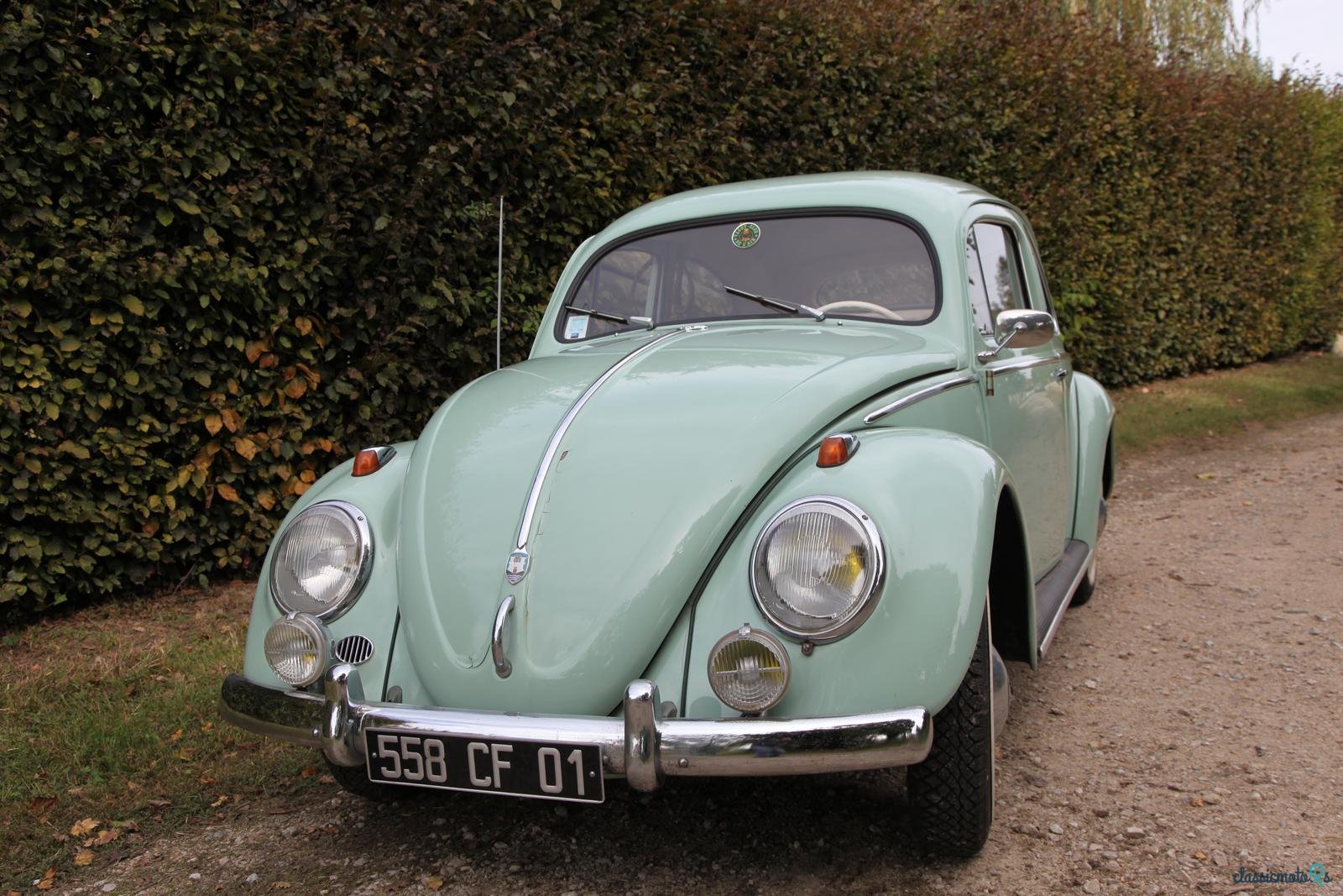 1954' Volkswagen Beetle Ovale photo #1