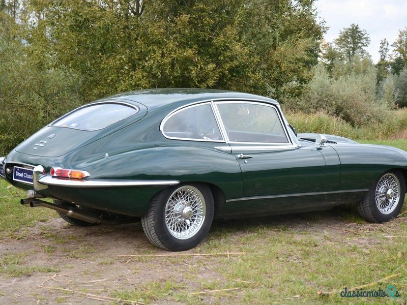 1966' Jaguar E-Type photo #6