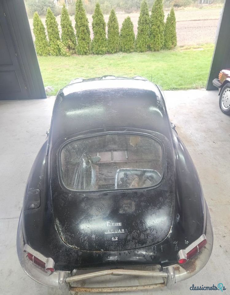 1965' Jaguar E-Type photo #5
