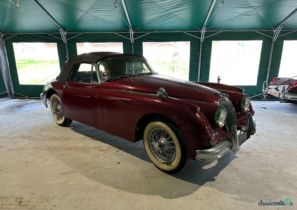 1958' Jaguar XK photo #1