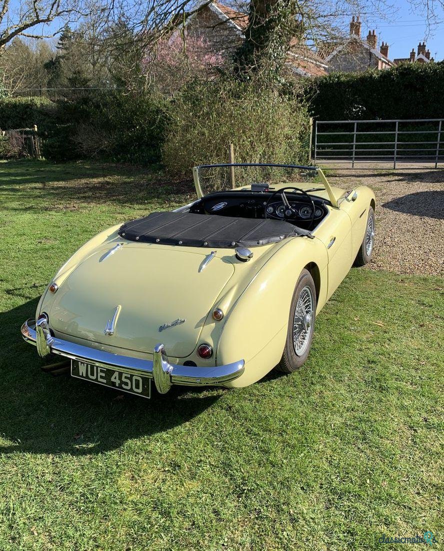 1957' Austin-Healey 100-6 photo #1