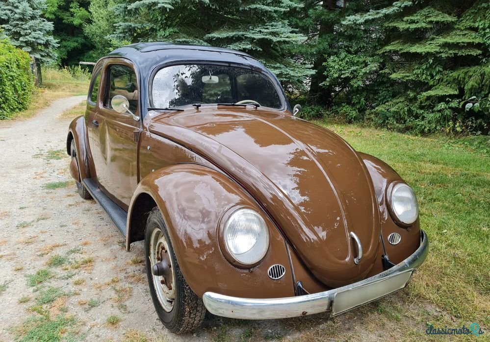 1954' Volkswagen Garbus photo #2