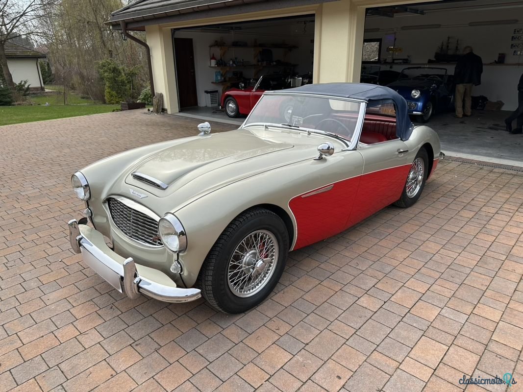 1960' Austin Healey photo #3