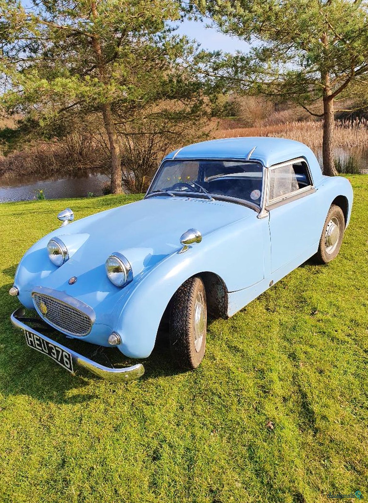 1959' Austin-Healey Sprite photo #1