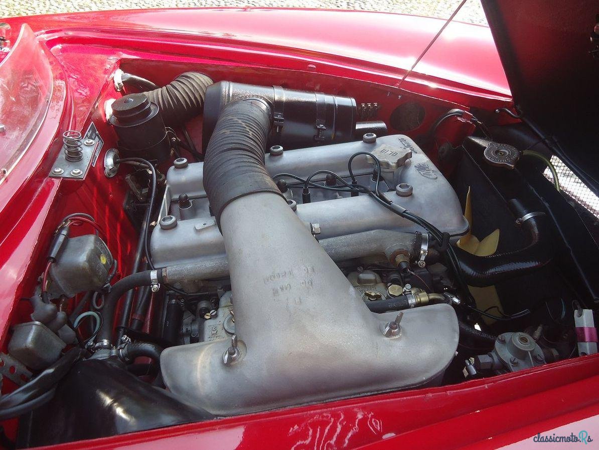 1964' Alfa Romeo Giulia 1600 Sprint Speciale photo #4