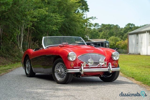 1954' Austin-Healey 100 photo #1