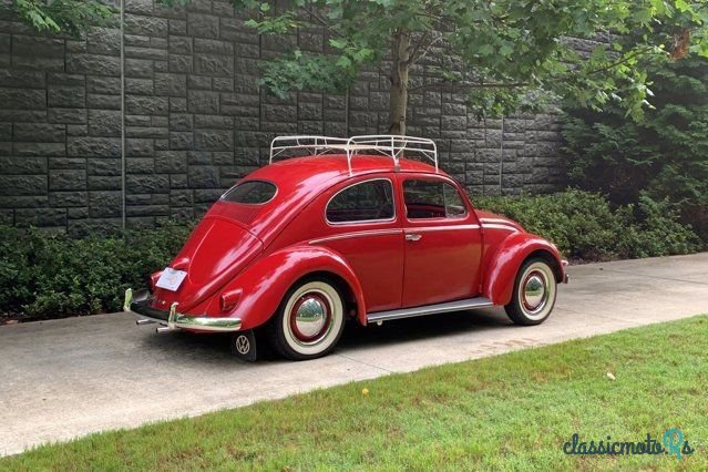 1957' Volkswagen Beetle photo #4