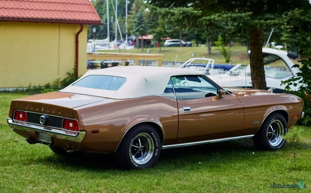1971' Ford Mustang photo #2