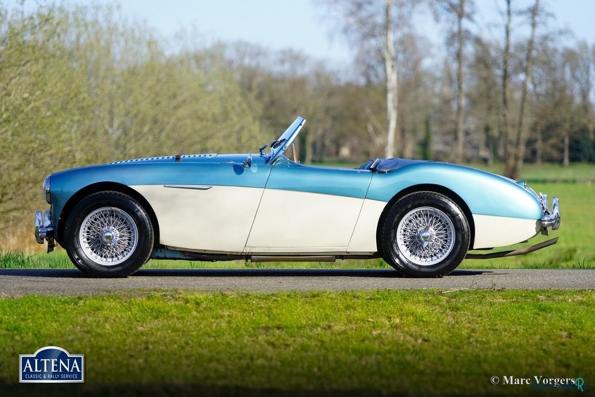 1956' Austin-Healey 100/4 photo #3