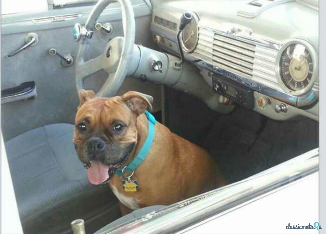 1947' Chevrolet Fleetline photo #3