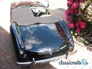 1954' Austin-Healey 100-4 photo #4