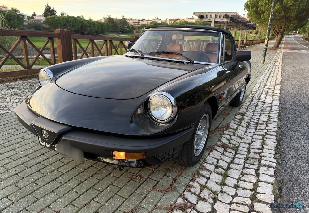 1988' Alfa Romeo Spider 1.6 photo #2