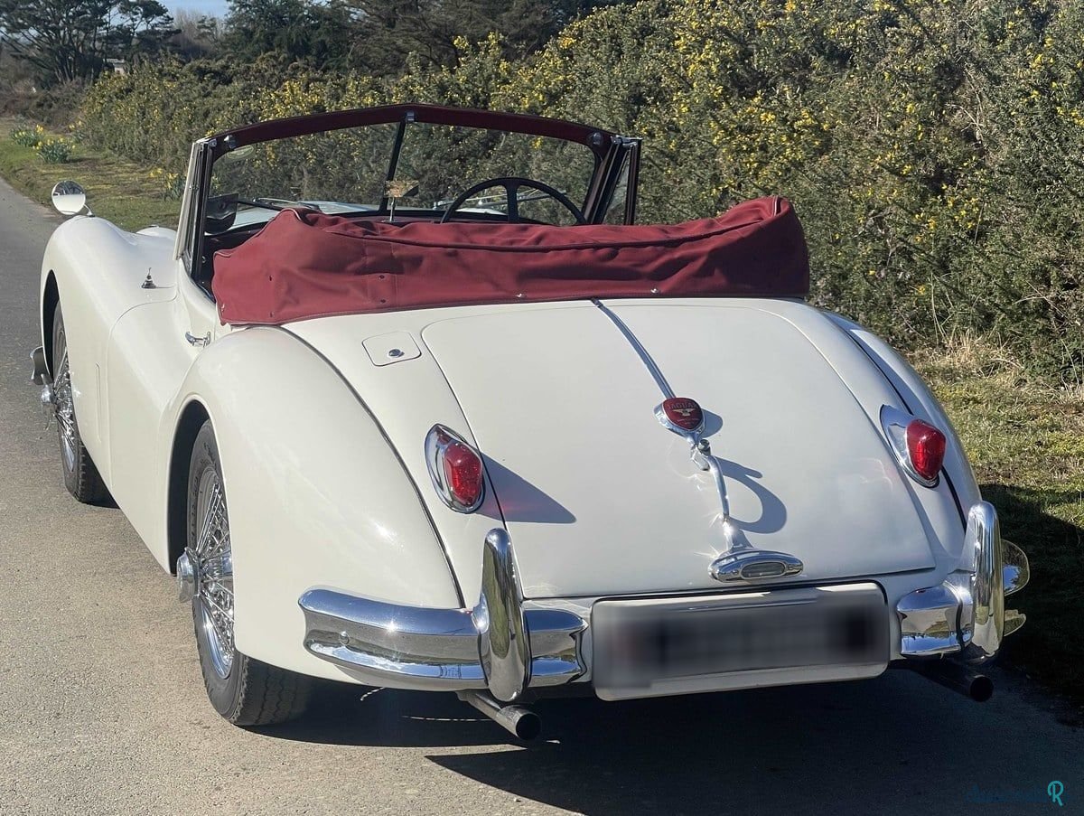 1955' Jaguar Xk140 photo #6