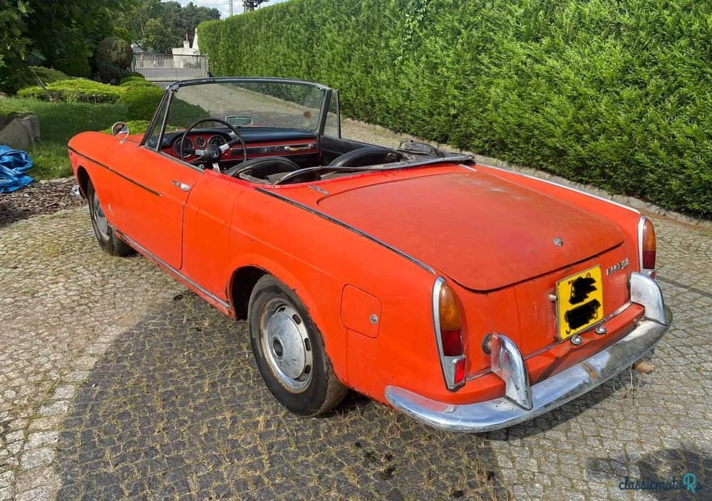 1965' Fiat photo #6