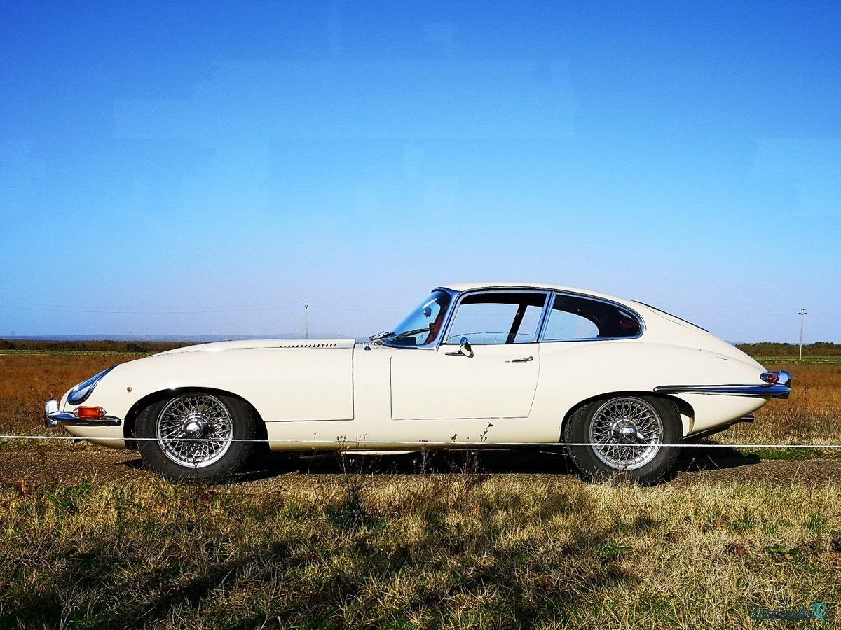 1963' Jaguar E-Type photo #2
