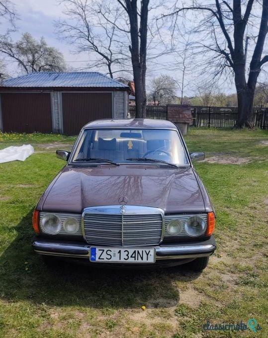 1978' Mercedes-Benz W123 photo #1