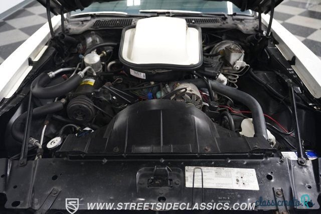 1979' Pontiac Firebird photo #3