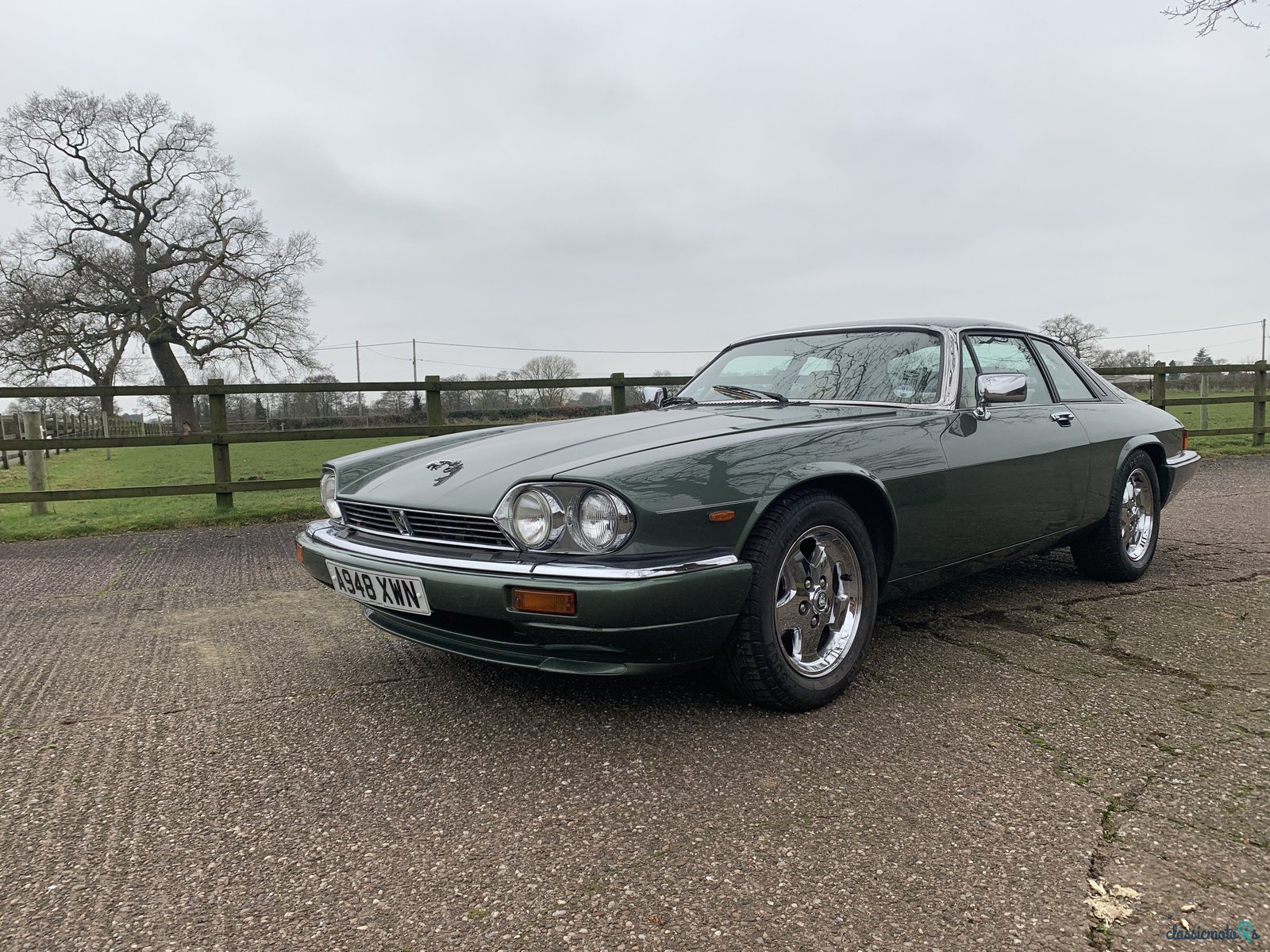1984' Jaguar XJS photo #6