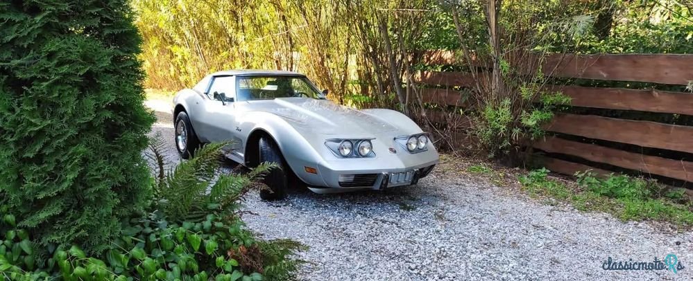 1976' Chevrolet Corvette photo #2