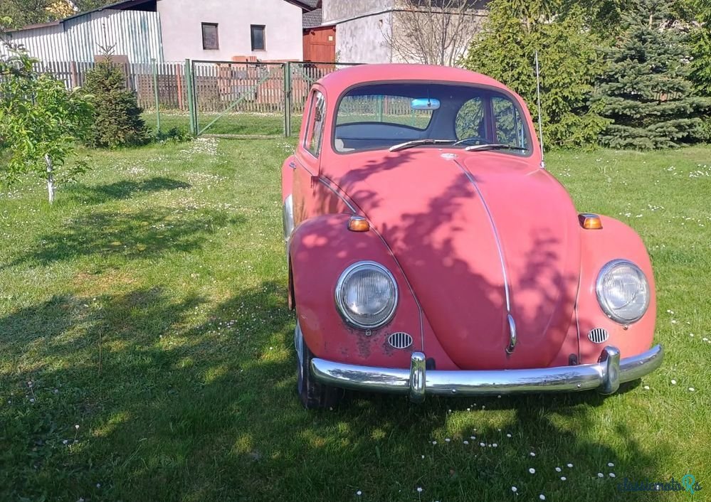 1967' Volkswagen Garbus photo #2