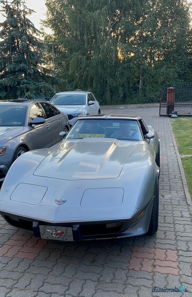 1978' Chevrolet Corvette photo #2