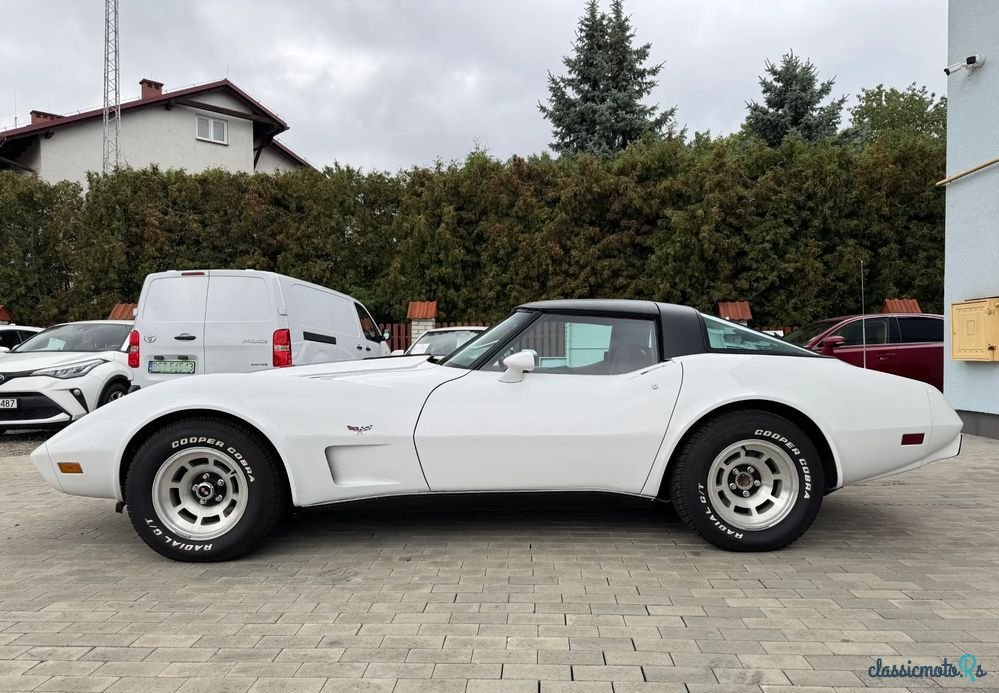 1979' Chevrolet Corvette photo #2
