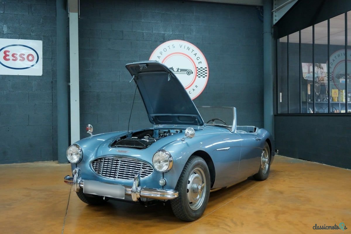 1959' Austin-Healey 100-6 photo #2