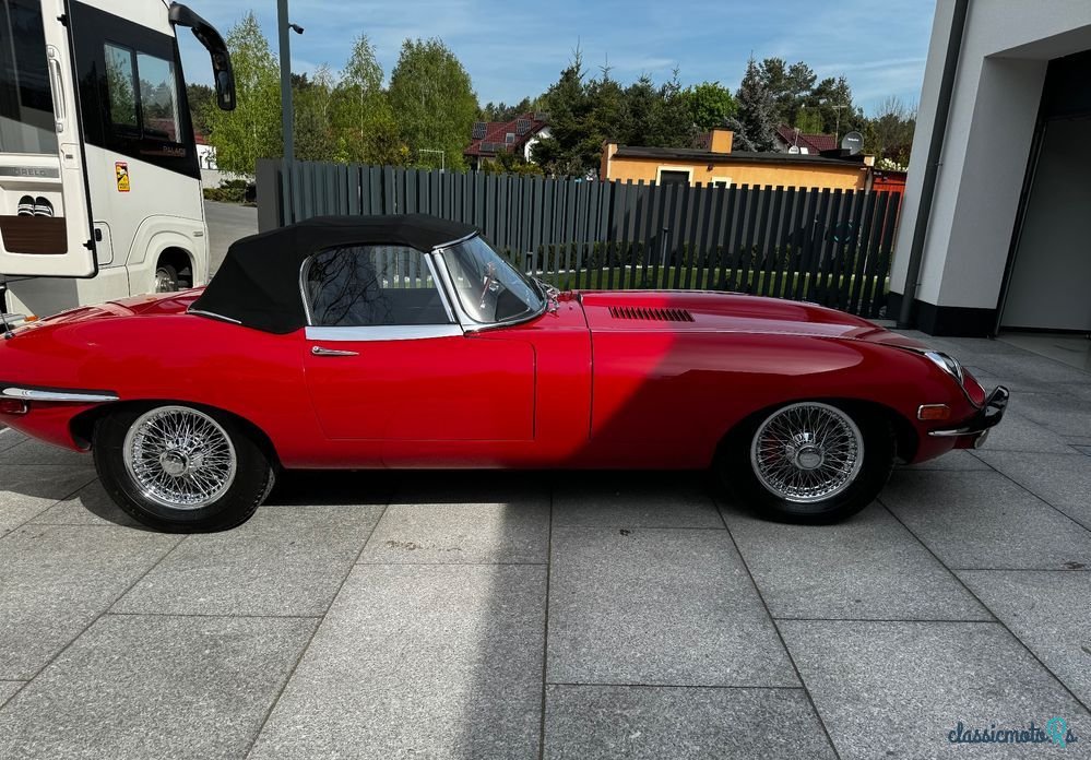 1969' Jaguar E-Type photo #2