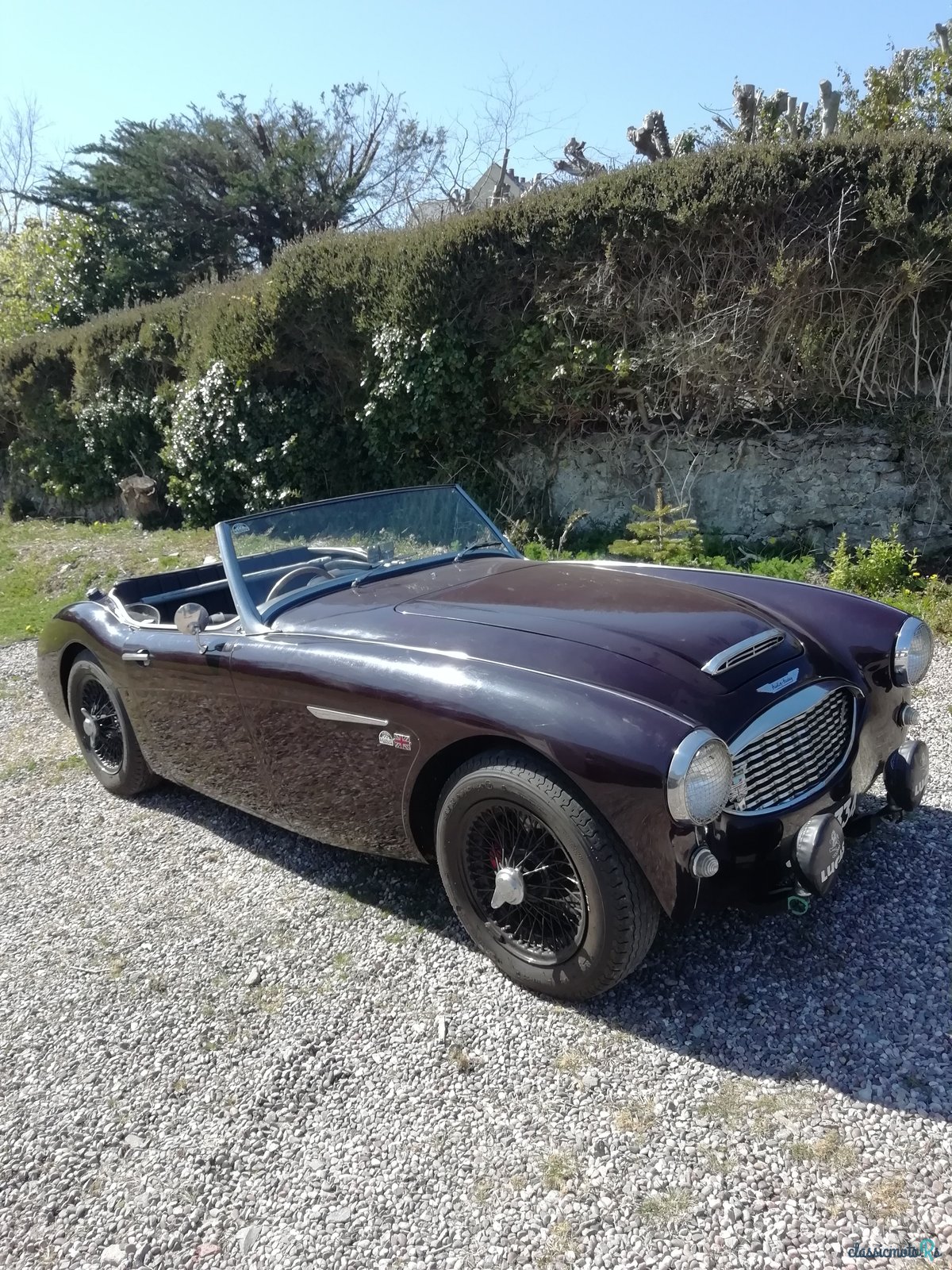 1959' Austin-Healey 100/6 Bn4 photo #5