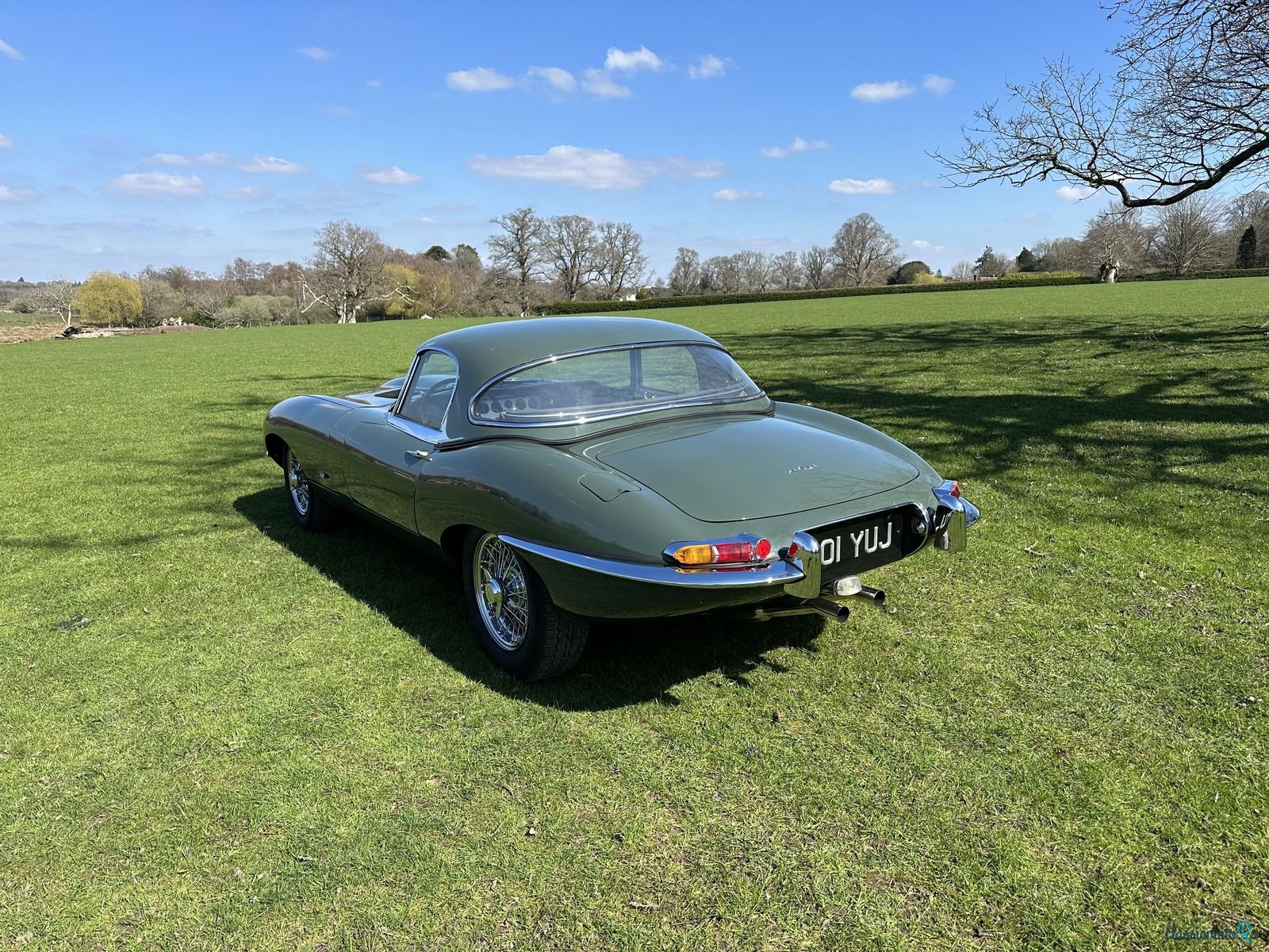 1961' Jaguar E-Type photo #3