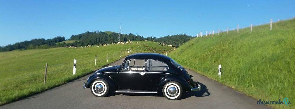 1965' Volkswagen Käfer photo #1