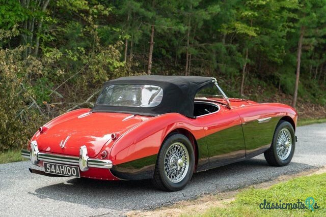 1954' Austin-Healey 100 photo #3
