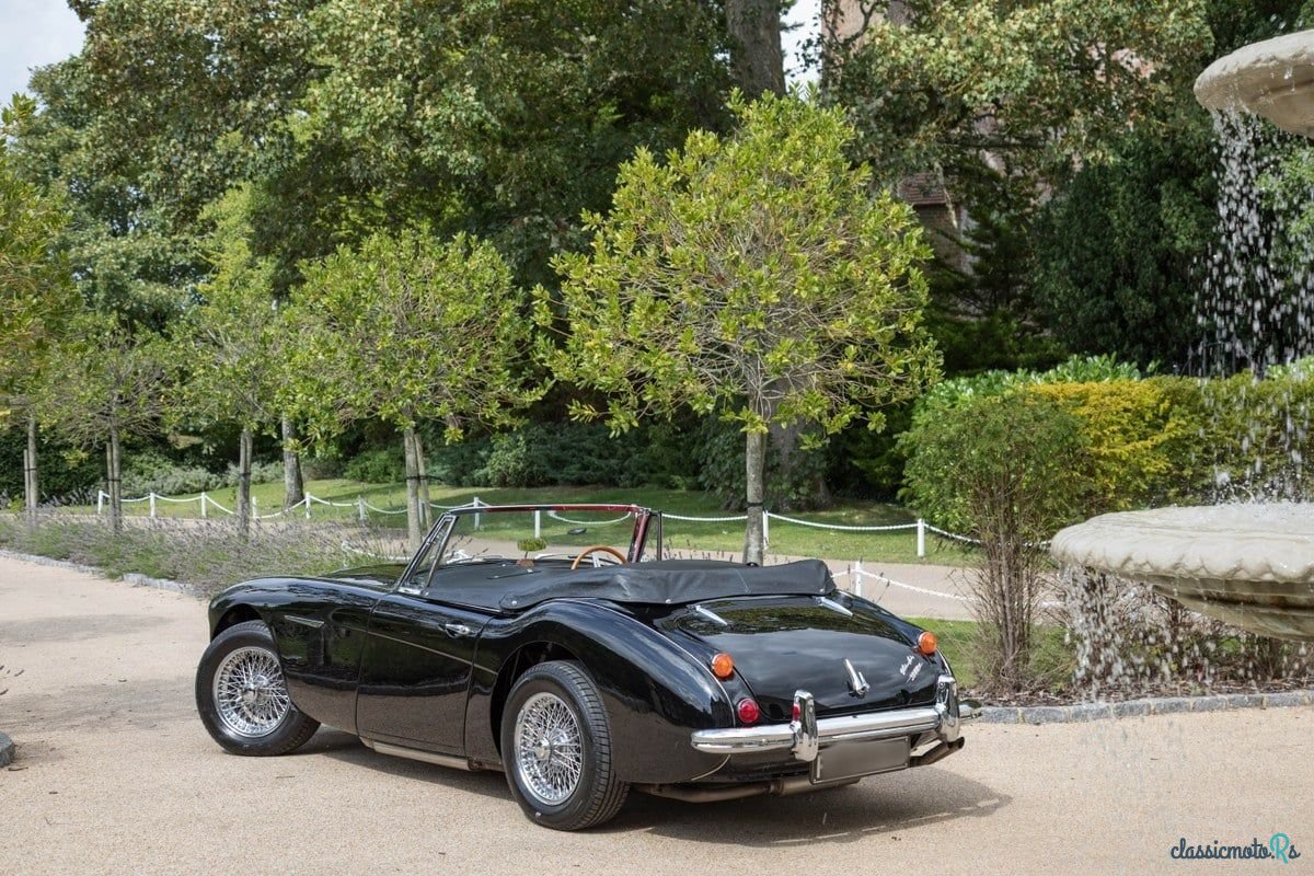 1965' Austin-Healey 3000 photo #5