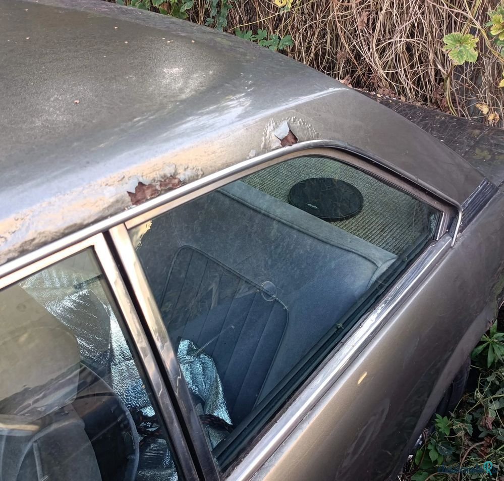 1978' Peugeot 504 photo #4