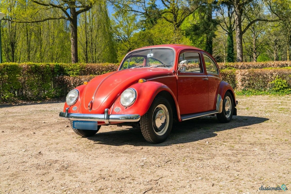 1967' Volkswagen Beetle photo #1