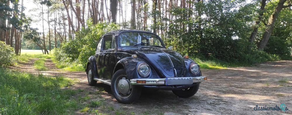 1969' Volkswagen Garbus photo #1