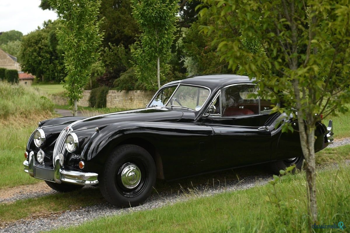 1955' Jaguar Xk140 photo #3