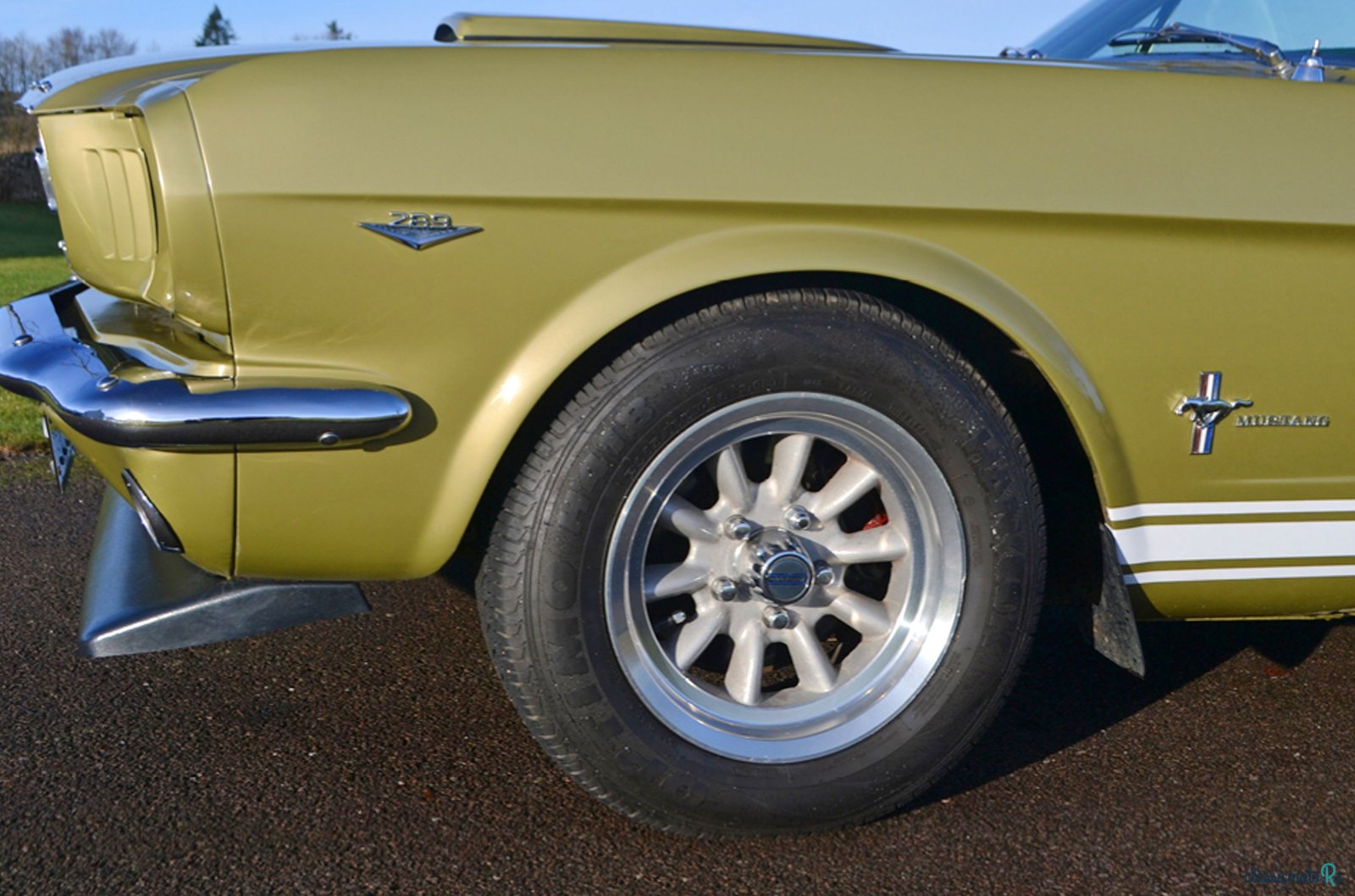 1965' Ford Mustang photo #4