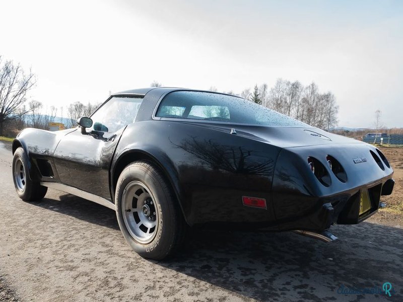 1979' Chevrolet Corvette photo #5