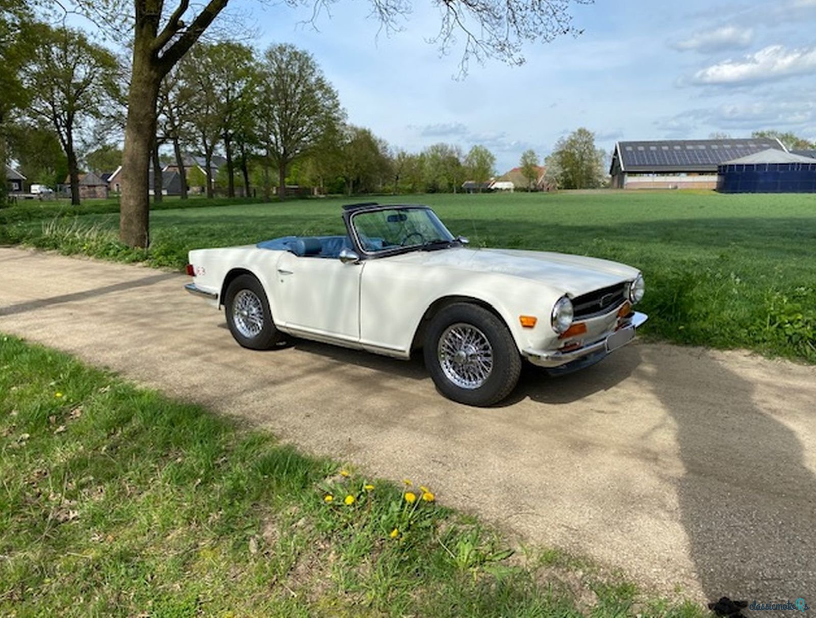 1974' Triumph TR6 photo #1
