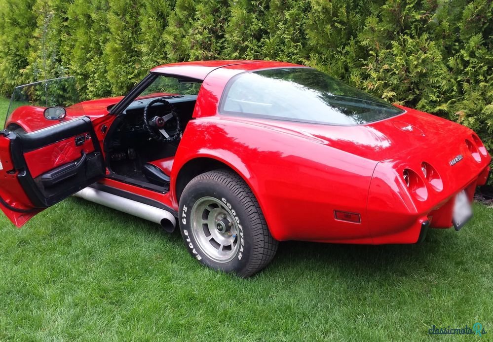 1979' Chevrolet Corvette photo #1