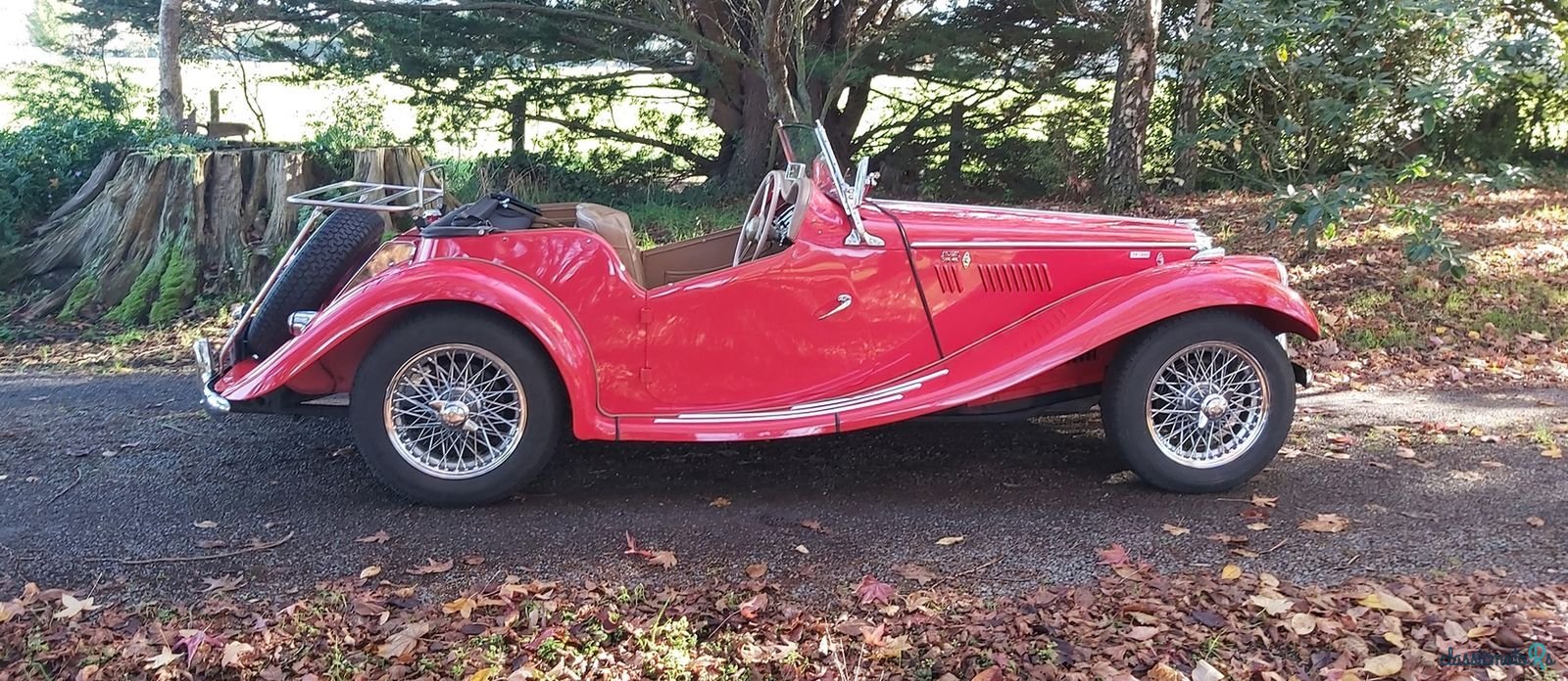 1955' MG Tf1500 photo #5