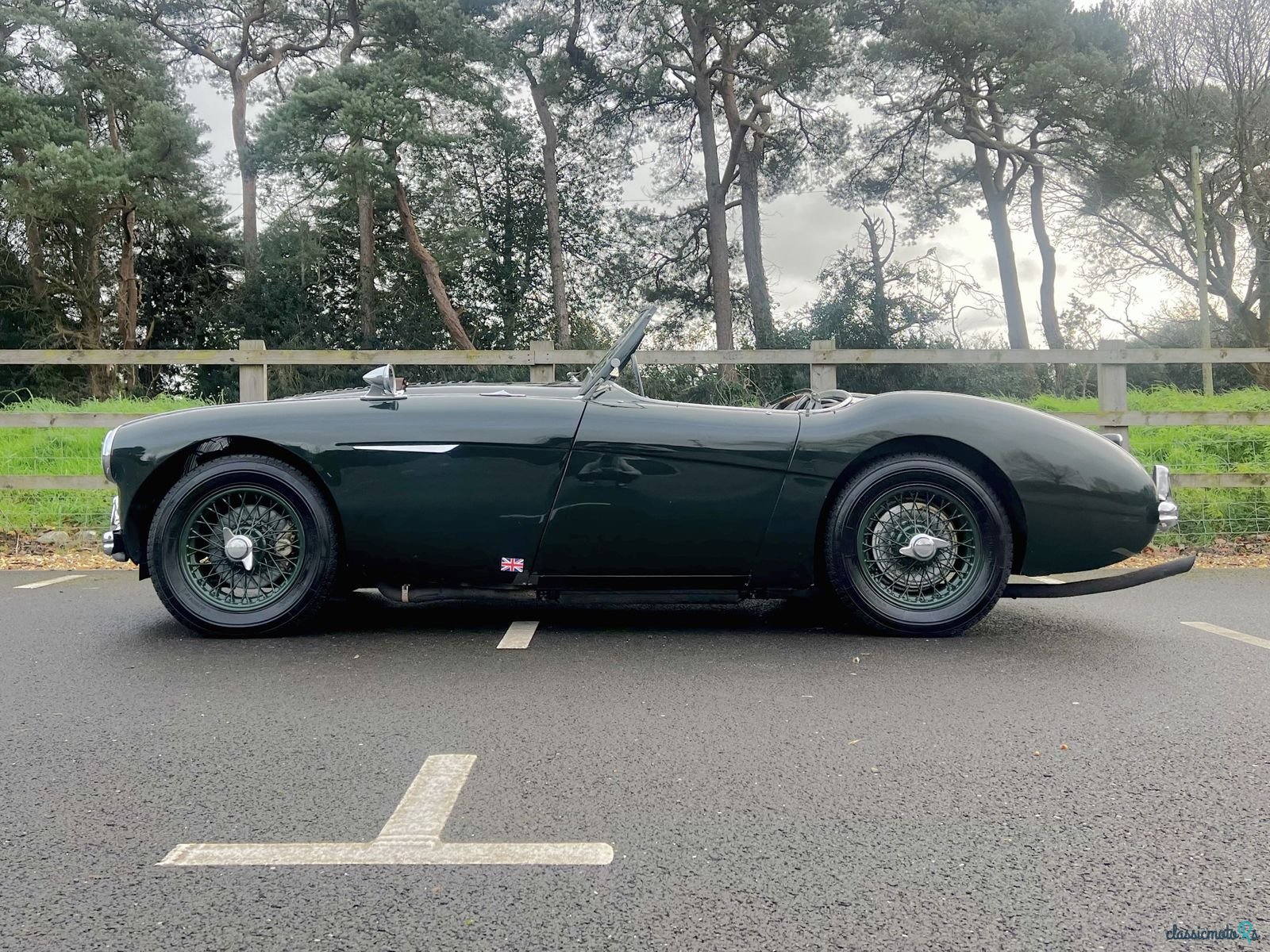 1956' Austin-Healey 100 M photo #3
